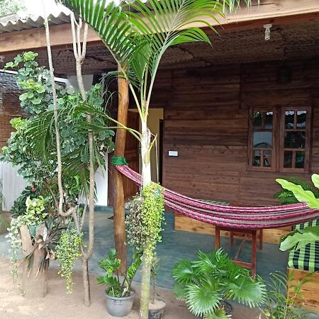Garden Cottage Arugambay アルガムベイ エクステリア 写真