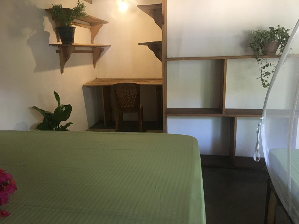 Garden Cottage Arugambay アルガムベイ エクステリア 写真