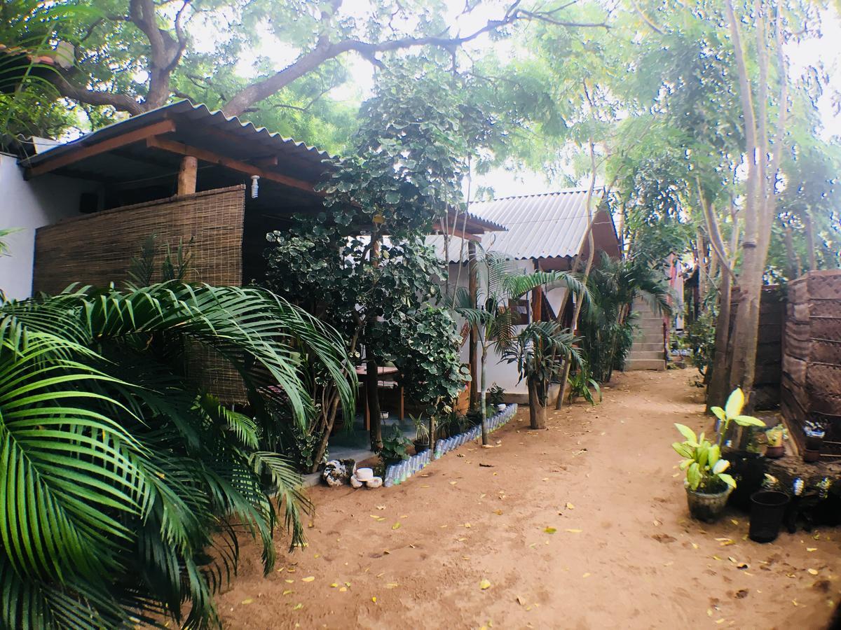 Garden Cottage Arugambay アルガムベイ エクステリア 写真