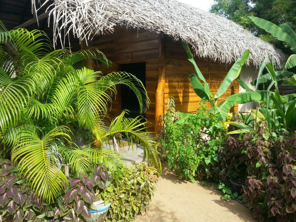 Garden Cottage Arugambay アルガムベイ 部屋 写真
